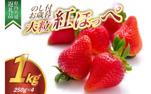 ＜のし付き＞お歳暮　紅ほっぺ大粒　250g(8～12粒)×4pc県内共通返礼品 (BR123) 1417503 - 茨城県城里町