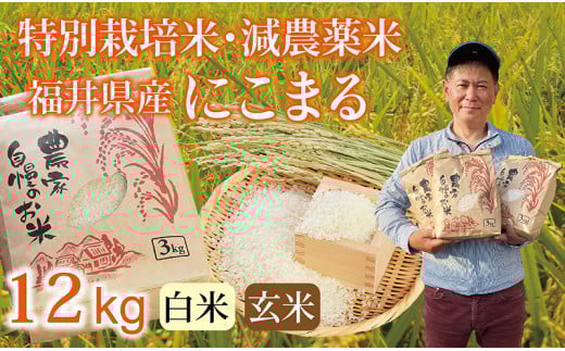 〈先行予約・新米〉にこまる 12kg(3kg×4袋) ／令和7年 福井県産 （玄米）2025年12月発送 少量サイズ便利