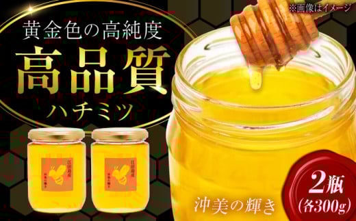 江田島産100% はちみつ『沖美の輝き』300g×2本 ハチミツ 蜂蜜 国産 広島 江田島市/はつはな果蜂園 [XCD004] ハチミツ 国産蜂蜜 国産はちみつ 国産純粋はちみつ 蜜 蜂蜜 はちみつ ハニー honey 人気ハチミツ 日本蜜蜂 純粋はちみつ 常温 保存 備蓄 防災食 非常食 保存食 産地直送 国産