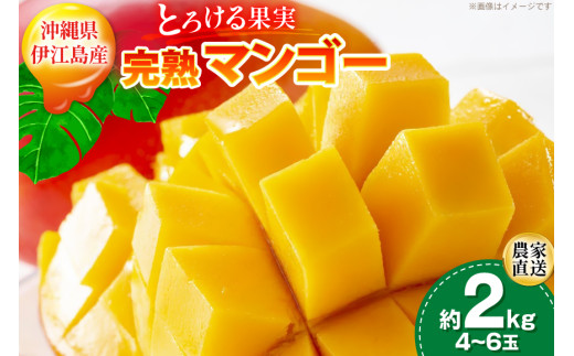 【期間限定発送】 完熟 マンゴー (アーウィン種) 約 2kg (4〜6玉) [伊江村マンゴー部会 沖縄県 伊江村 ie47bde320013] 沖縄 フルーツ 果物 甘い 夏 濃厚 Mango 果物 果実 くだもの