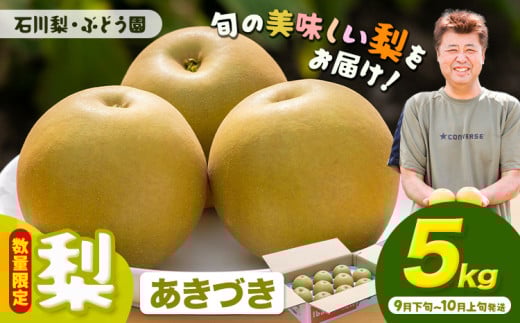 【先行予約・数量限定】梨 約5kg あきづき 石川梨・ぶどう園《9月下旬-10月上旬頃出荷》茨城県 結城市 梨 ナシ なし 果物 フルーツ あきづき【配送不可地域あり】（離島） 698073 - 茨城県結城市