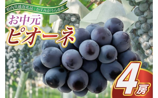 ＜2025年8月より順次発送予定＞お中元　ピオーネ　4房(県内共通返礼品:かすみがうら市産) (BR112) 885309 - 茨城県城里町