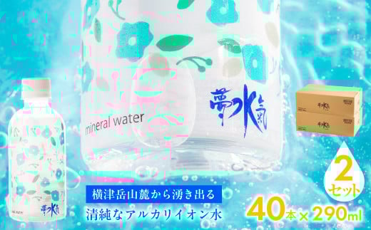 ミネラルウォーター夢水氣(290ml×40本)2セット 天然アルカリイオン水 軟水 【ふるさと納税 人気 おすすめ ランキング 天然アルカリイオン水 天然水 ミネラルウォーター 横津岳山麓 北海道 七飯町 送料無料】 NAL004 2092913 - 北海道七飯町