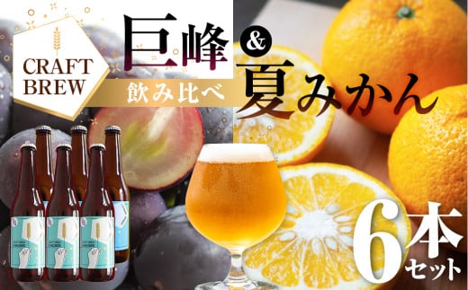 クラフトビール 飲み比べ『巨峰＆夏みかん』DAMONDE 6本セット ビール ビールセット 贈答 ギフト 父の日 お祝い お酒 地ビール 地酒 瓶ビール おススメ ギフト プレミアムビール BBQ 差し入れ クラフト 麦酒 愛知県 豊橋市