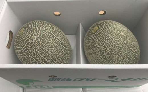 熊本特産！肥後グリーンメロン 2玉入り メロン 特産 果物 フルーツ 【2025年5月下旬～6月下旬発送予定】