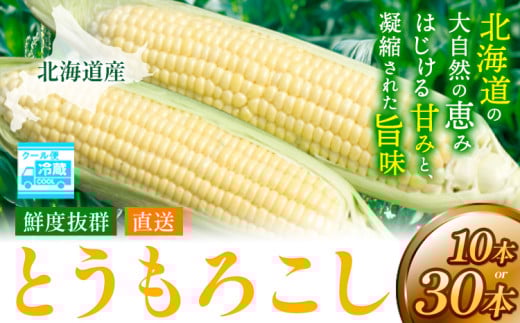 [2025年先行予約]照之家商店 鮮度抜群とうもろこし 選べる 10本 30本 とうもろこし トウモロコシ 北海道とうもろこし 朝採れとうもろこし 産地直送とうもろこし 北海道産とうもろこし st-p