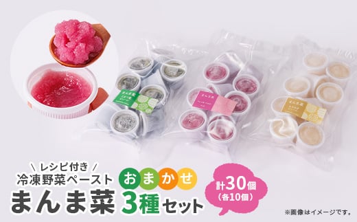 まんま菜　冷凍野菜ペーストおまかせ3種セット【1522909】 1423506 - 愛知県尾張旭市