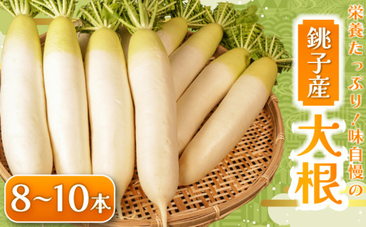 【先行予約】 大根 8～10本 数量限定 期間限定 大容量 旬の野菜 旬の味覚 だいこん 大根サラダ サラダ 生野菜 漬物 大根おろし 味噌汁 大根餅 煮物 大根ステーキ たくあん ふろふき大根 ぶり大根 豚バラ大根 おでん 和食 生産量 日本一 贈答 プレゼント 贈り物 ギフト 贈答 グルメ 発送時期 2026年4月～(なくなり次第終了)  ふるさと納税 送料無料 千葉県 銚子市 小野商店 2065834 - 千葉県銚子市