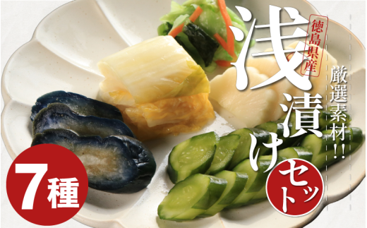 浅漬け 7種 さっぱり 白菜うまみ漬 ゆず白菜 野沢菜ミックス 浅漬大根 浅漬なす 胡瓜食べごろサイズ 野沢菜わさび風味 国産野菜 ヘルシー 食物繊維たっぷり 低カロリー 健康食品 ご飯 お供 おつまみ 人気 季節 野菜 簡単 漬け物 お手軽 徳島県 吉野川市