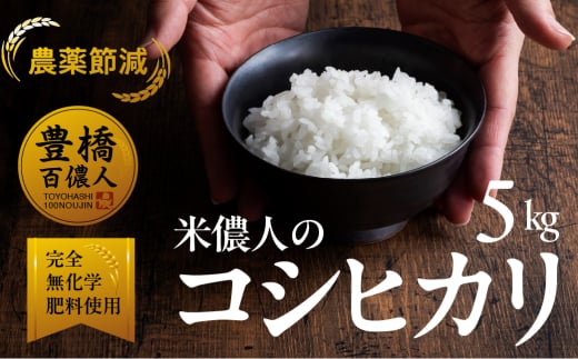 こしひかり 5kg お米 白米 おこめ こめ コメ 米 kome 農薬不使用 減農薬 令和7年 2073012 - 愛知県豊橋市