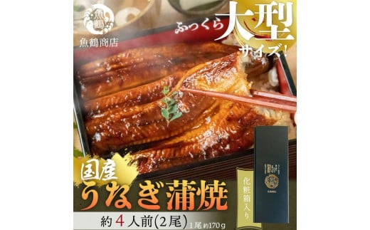 大型サイズ　ふっくら柔らか　国産うなぎ蒲焼き　2尾　化粧箱入［夏土用の丑の日のうなぎ］［7月19日までにお届け］［UT05］ 1031398 - 和歌山県印南町