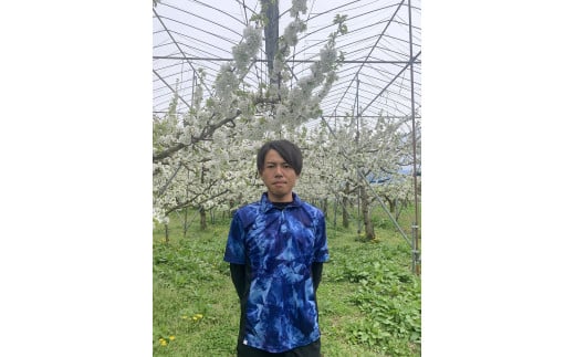 【2026年1月発送】西洋梨(ラ・フランス)3kg ご家庭用 0136-2502 1381357 - 山形県上山市