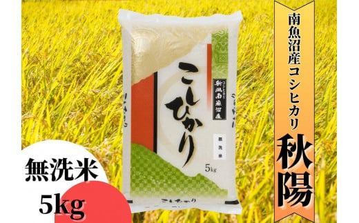 【令和7年産 新米予約】南魚沼産コシヒカリ「秋陽」（無洗米5kg）新潟県の特A地区南魚沼市の美味しいお米【2025年（令和7年）10月上旬より順次発送予定】【米 お米 こしひかり 南魚沼 米 無洗米 こめ 新潟 米】 494958 - 新潟県南魚沼市