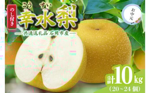 ＜のし付き＞お中元　幸水　10kg(20～24個)　県内共通返礼品 (BR149) 1987742 - 茨城県城里町