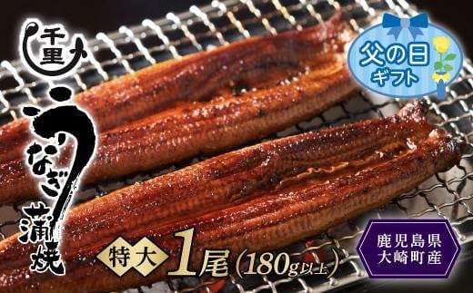 【父の日】鹿児島県産うなぎ 特大蒲焼き1尾 180g以上 2093049 - 鹿児島県大崎町