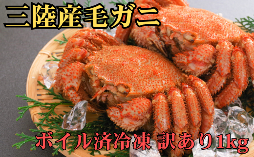 【期間限定3月より発送】訳アリ三陸産活毛ガニ ボイル済冷凍 1kg 【35】天然 国産 冷凍 三陸 直送 濃厚 かに 蟹 カニ 毛ガニ 毛蟹 毛がに 初栄丸