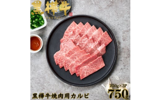 くまもと黒毛和牛 黒樺牛 A4～A5等級 牛肉カルビ 750g(250g×3)＜杉本本店＞(美里町)【1617812】