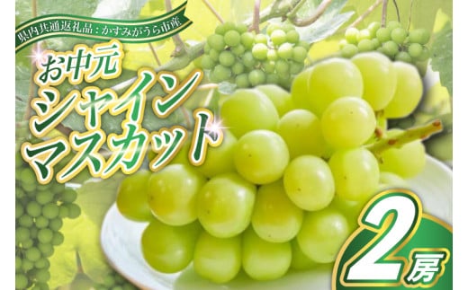 ＜2025年8月より順次発送予定＞お中元　シャインマスカット2房(県内共通返礼品:かすみがうら市産) (BR114) 885311 - 茨城県城里町