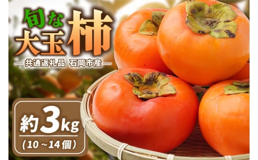 旬な大玉柿 約3kg(10~14個)県内共通返礼品石岡市産 (BR176) 1998896 - 茨城県城里町