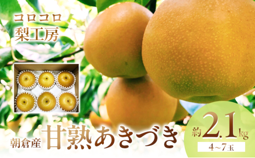 梨 あきづき まるで食べる梨ジュース!!甘熟 あきづき梨 約2.1kg 4〜7玉入 配送不可 離島