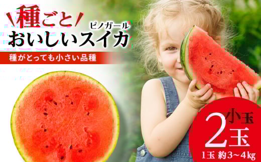 【2025年夏発送】スイカ 中玉 2玉 7～8kg
