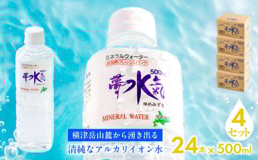 ミネラルウォーター夢水氣(500ml×24本)4セット 天然アルカリイオン水 軟水 【ふるさと納税 人気 おすすめ ランキング 天然アルカリイオン水 天然水 ミネラルウォーター 横津岳山麓 北海道 七飯町 送料無料】 NAL010 2092919 - 北海道七飯町