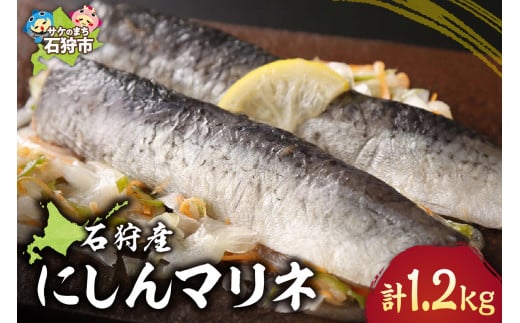 【数量限定】石狩産にしんマリネ（200g×約6パック）計1.2kg｜ふるさと納税 北海道 石狩市 鰊 ニシン 漬け ピクルス 酢 ビネガー 総菜 惣菜 魚料理 おかず 6個 ６個 1200g ご当地 魚介類 グルメ 人気 旬 限定