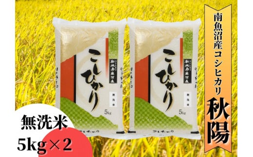 【令和7年産 新米予約】南魚沼産コシヒカリ「秋陽」（無洗米10kg）新潟県の特A地区南魚沼市の美味しいお米【2025年（令和7年）10月上旬より順次発送予定】【米 お米 こしひかり 南魚沼 米 無洗米 こめ 新潟 米】 494959 - 新潟県南魚沼市