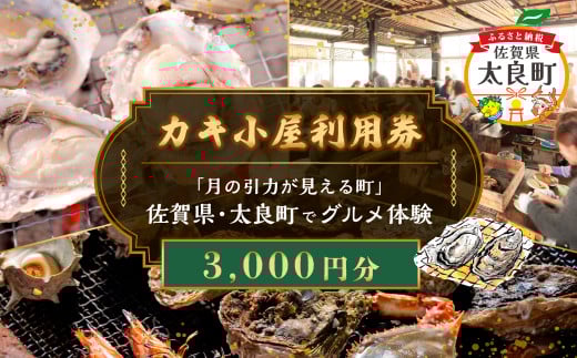 【カキ小屋利用券】「月の引力が見える町」佐賀県・太良町でグルメ体験(3,000円分) NA17