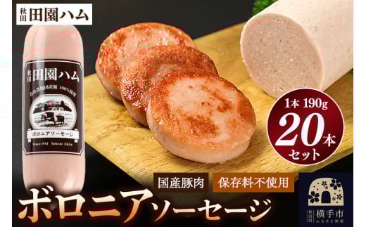 田園ハム ボロニアソーセージ 190g×20本セット 2092923 - 秋田県横手市