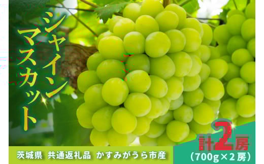 シャインマスカット700g×2房 (BR180)