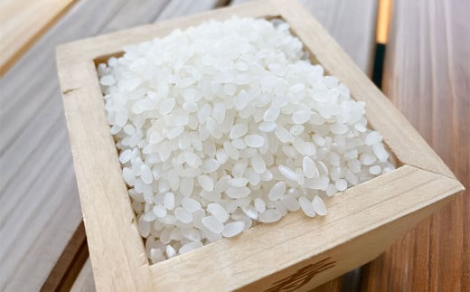【令和7年産】福岡県ブランド米「夢つくし」10kg 米 お米 白米 うるち精米 精米 ライス ブランド米 ご飯 ごはん 料理 調理 食べ物 九州 福岡県 岡垣町【2025年9月上旬より発送開始】