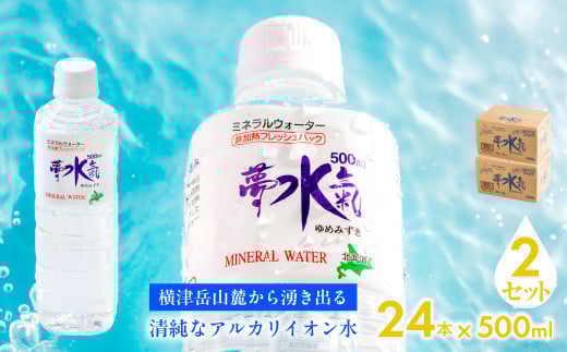 ミネラルウォーター夢水氣(500ml×24本)2セット 天然アルカリイオン水 軟水 【ふるさと納税 人気 おすすめ ランキング 天然アルカリイオン水 天然水 ミネラルウォーター 横津岳山麓 北海道 七飯町 送料無料】 NAL008 2092917 - 北海道七飯町