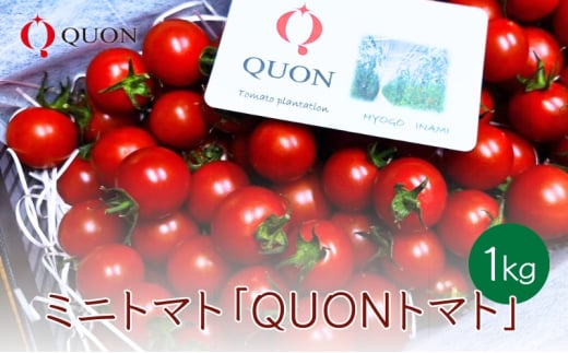 ミニトマト 「 QUONトマト 」1kg 化粧箱入[ QUON 甘い トマト 志づ華乃 高糖度 プレゼント ]
