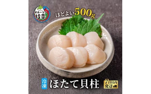 北海道 オホーツク産 ふるさとの贈り物 500gの冷凍ほたて貝柱【 枝幸ほたて 】至福の味 海洋食品 刺身 魚介 帆立 