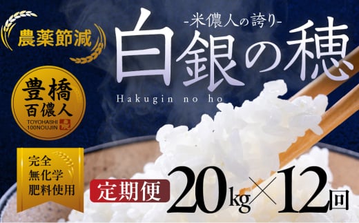 【定期便】米儂人の誇り 白銀の穂 20kg×12回 お米 おこめ 米 コメ kome 令和7年 2058183 - 愛知県豊橋市