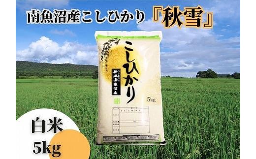 【令和7年産 新米予約 全６回定期便】南魚沼産コシヒカリ「秋雪」白米5kg×6回 新潟県の特A地区南魚沼市の美味しいお米【2025年（令和7年）10月上旬より順次発送予定】【米 お米 こしひかり 南魚沼 米 白米 こめ 新潟 米】 1032620 - 新潟県南魚沼市
