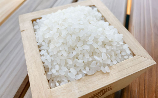 【令和7年産】福岡県ブランド米「夢つくし」5kg 米 お米 白米 うるち精米 精米 ライス ブランド米 ご飯 ごはん 料理 調理 食べ物 九州 福岡県 岡垣町【2025年9月上旬より発送開始】