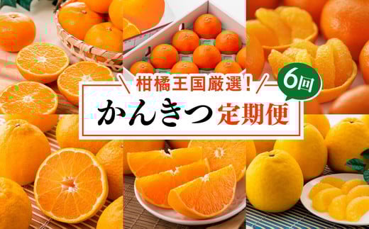 【定期便】【愛媛県共通返礼品】愛媛のかんきつ定期便（全6回）（日の丸みかん・紅まどんな・伊予柑・不知火・せとか・河内晩柑)｜みかん 蜜柑 日の丸みかん 紅まどんな 伊予柑 不知火 デコポン せとか 河内晩柑 柑橘 フルーツ 濃厚 甘味 甘い 愛媛みかん 国産 愛媛県産 果物 くだもの 絶品 美味しい お取り寄せ 愛媛 久万高原町 ※2025年11月下旬～2026年4月下旬頃に毎月1回発送 461319 - 愛媛県久万高原町