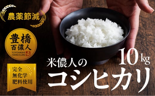 こしひかり 10kg お米 白米 おこめ こめ コメ 米 kome 農薬不使用 減農薬 令和7年 2073013 - 愛知県豊橋市
