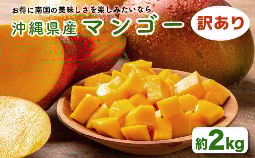 ハナトフルーツ 沖縄県産 訳ありマンゴー２ｋｇ 【2025年発送】