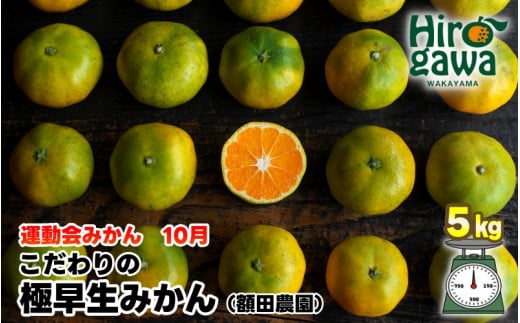 極早生 みかん 家庭用 5kg / 極早生みかん 温州みかん 甘い 家庭用 和歌山 柑橘 ※10月上旬～11月上旬順次発送 ※北海道・沖縄・離島への配送不可 【nuk003-r-5B】 1290411 - 和歌山県広川町