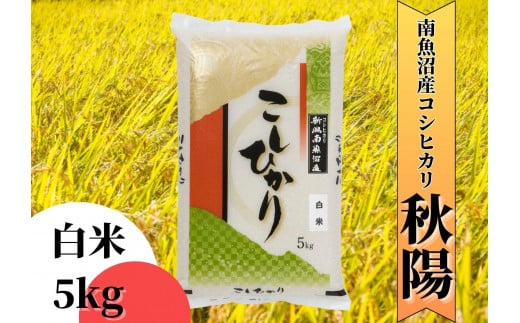 【令和7年産 新米予約】南魚沼産コシヒカリ「秋陽」(白米5kg)×3回 新潟県の特A地区南魚沼市の美味しいお米【2025年（令和7年）10月上旬より順次発送予定】【米 お米 こしひかり 南魚沼 米 白米 こめ 新潟 米】 494964 - 新潟県南魚沼市