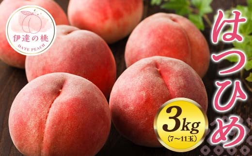 福島県オリジナル品種 福島県産 はつひめ 約3kg 2025年7月上旬～2025年7月中旬発送 先行予約 予約 伊達の桃 桃 もも モモ 果物 くだもの フルーツ 国産 食品 F20C-550 299384 - 福島県伊達市