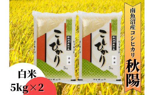 【令和7年産 新米予約】南魚沼産コシヒカリ「秋陽」（白米10kg）新潟県の特A地区南魚沼市の美味しいお米【2025年（令和7年）10月上旬より順次発送予定】【米 お米 こしひかり 南魚沼 米 白米 こめ 新潟 米】 494956 - 新潟県南魚沼市