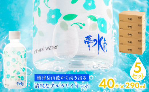 ミネラルウォーター夢水氣(290ml×40本)5セット 天然アルカリイオン水 軟水 【ふるさと納税 人気 おすすめ ランキング 天然アルカリイオン水 天然水 ミネラルウォーター 横津岳山麓 北海道 七飯町 送料無料】 NAL007 2092916 - 北海道七飯町