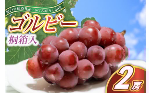 ＜2025年9月より順次発送予定＞ゴルビー　桐箱入り2房(県内共通返礼品:かすみがうら市産) (BR115) 885312 - 茨城県城里町