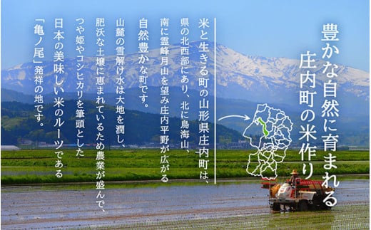 山形県庄内町のふるさと納税 ＜6月中旬発送＞庄内米6か月定期便！はえぬき 5kg（入金期限：2025.5.25）