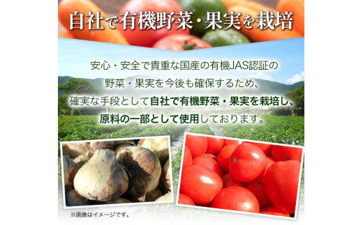 徳島県上板町のふるさと納税 ジンジャーエール 250ml×30缶 光食品株式会社《30日以内出荷予定(土日祝除く)》徳島県 上板町 ジュース 炭酸水 光食品 ジンジャーエール オーガニック 有機