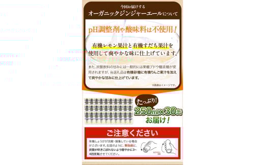 徳島県上板町のふるさと納税 ジンジャーエール 250ml×30缶 光食品株式会社《30日以内出荷予定(土日祝除く)》徳島県 上板町 ジュース 炭酸水 光食品 ジンジャーエール オーガニック 有機